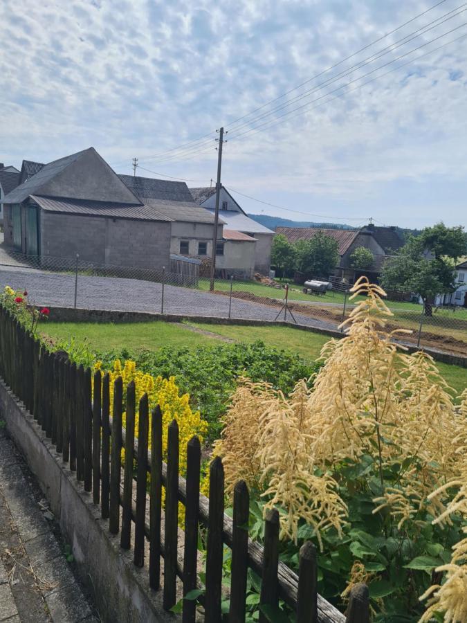 Pension Larifari Drees Экстерьер фото