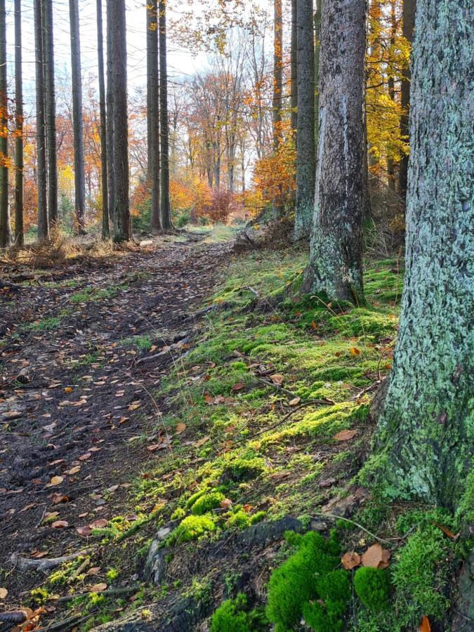 Pension Larifari Drees Экстерьер фото